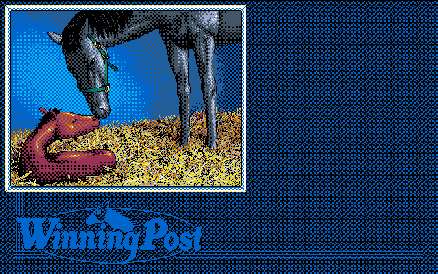 Winning Post screenshot 5 for Super Famicom